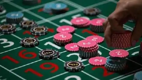 bet59566